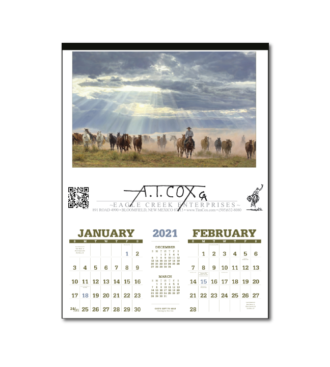 large-6-sheet-calendar-2021-17-x23-image-size-11-x17-tim-cox