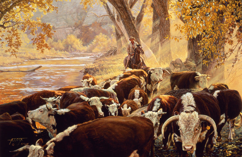 Western Cattle By high quality Tim Cox Off The Mountain In October Limited Litho W COA 22X28