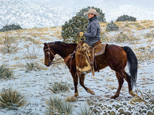 Snow In The Desert