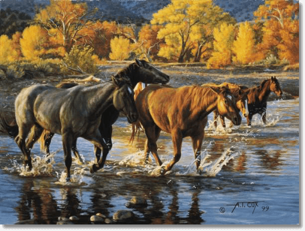 Horses Of The Creek