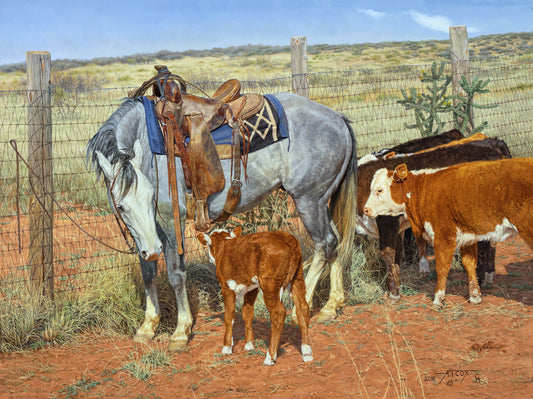 "Can't Help You Kid" painting by Tim Cox Greyhorse reins looped on fence hereford calves 