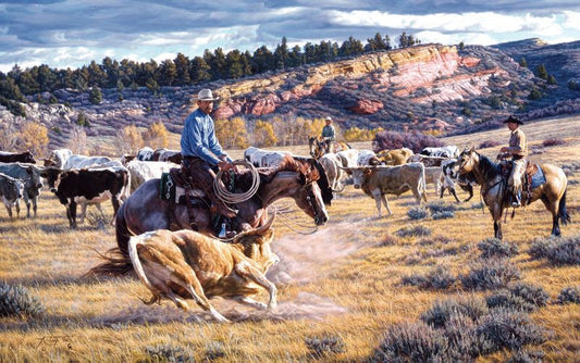 "Cowboy Cut" painted by Tim Cox cowboy on cutting horse cutting steer from the herd with cowboys holding the herd and western landscape in the background